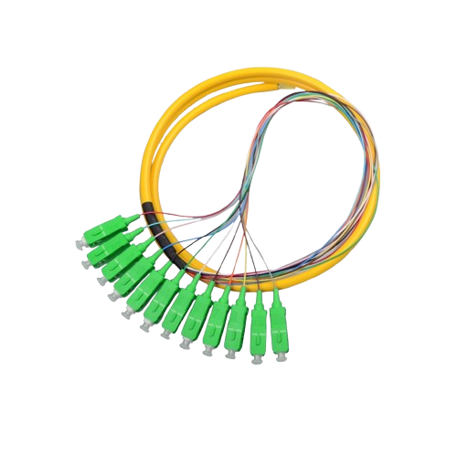 12 Core SC/APC Pigtail